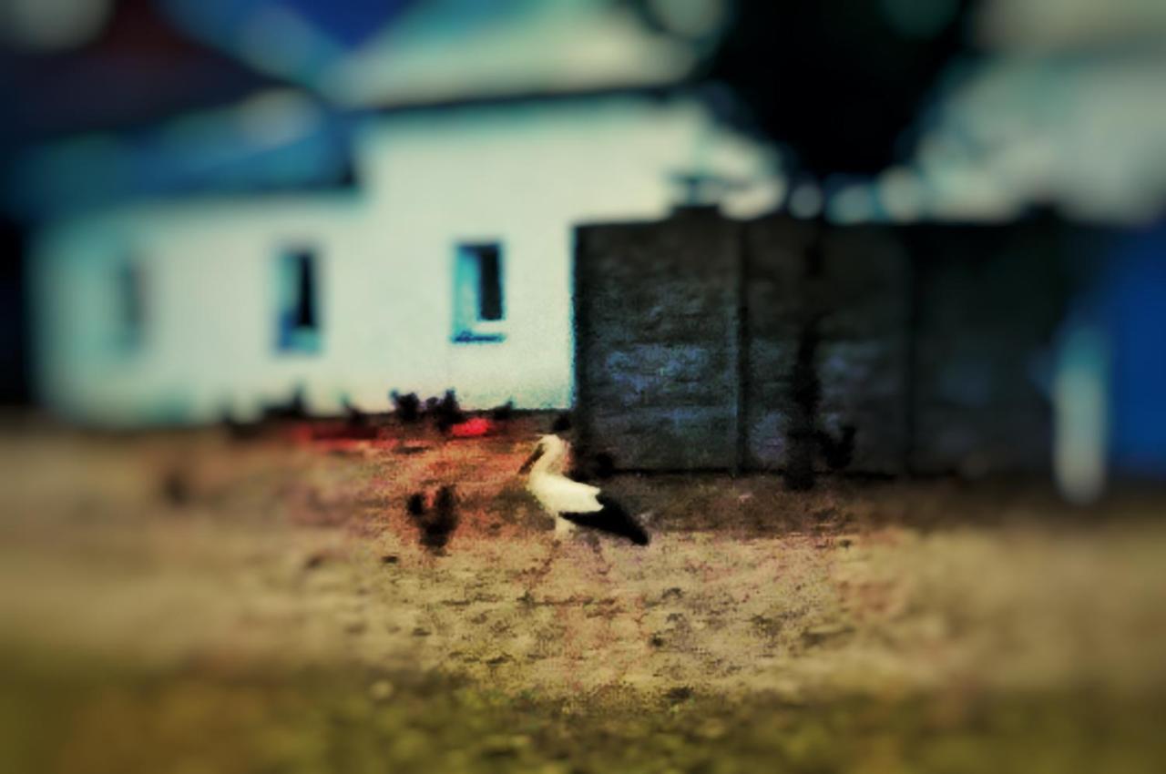 Home&Slow Life Gdańsk Extérieur photo